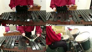 Castlevania II: Simons Quest - Bloody Tears - Percussion Cover
