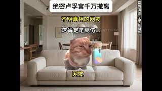 絕密羅浮宮千萬撤離Top Secret Louvre, Ten-Million Loot Extraction#shorts #funny #fyp