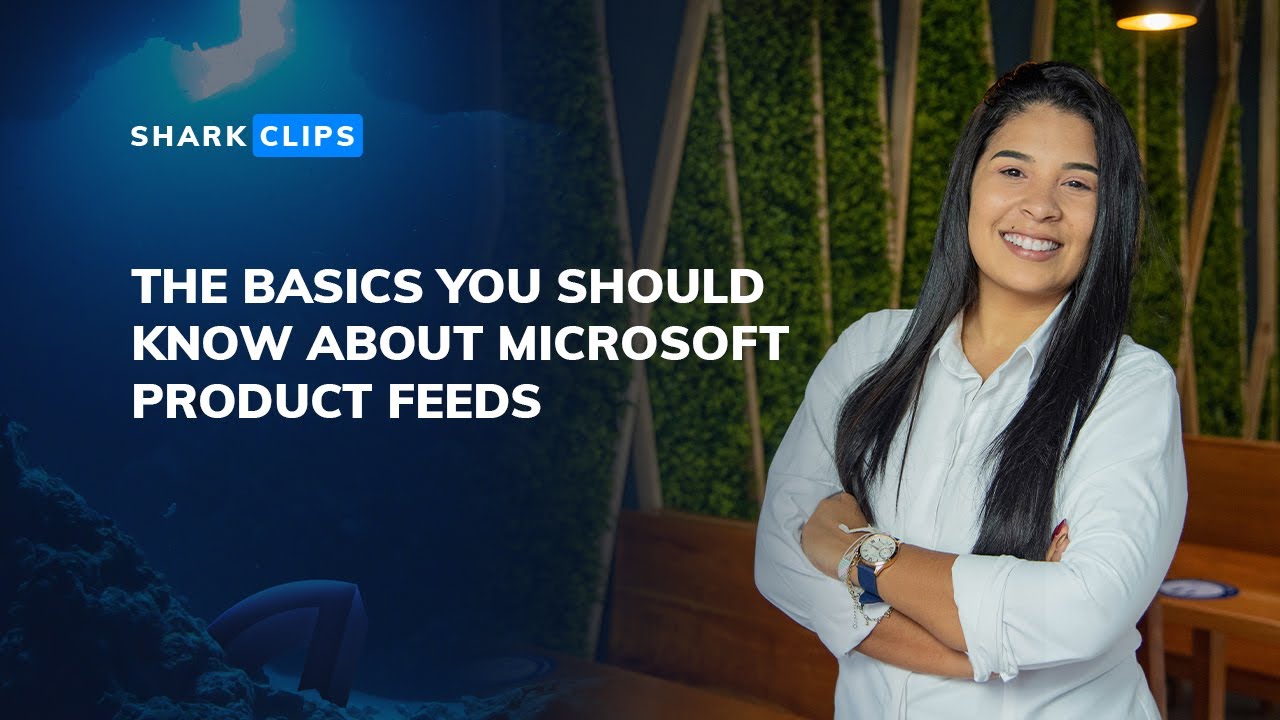 Microsoft Advertising Product Feeds: Everything You Need to Know