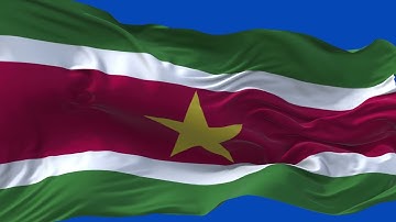 🚩Suriname Flag Waving | GREEN SCREEN & CHROMA MATTE🚩