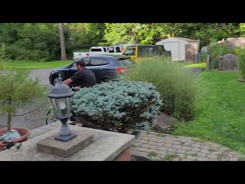 Solo odyssey moped