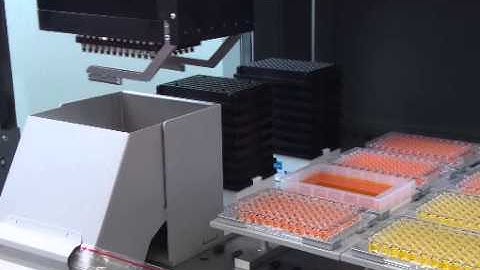 MCA 96 on a Freedom EVO 100 (9)