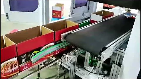 Robotic Bag Case Packer