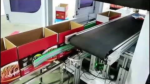 Robotic Bag Case Packer