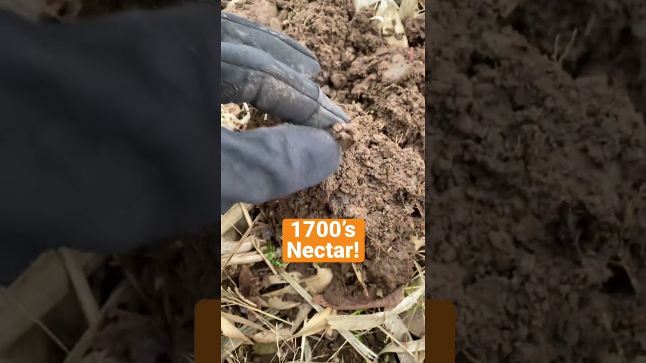 1700’s Roundness in the hole!!!