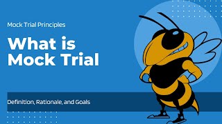 Mock Trial Principles - What is a Mock Trial