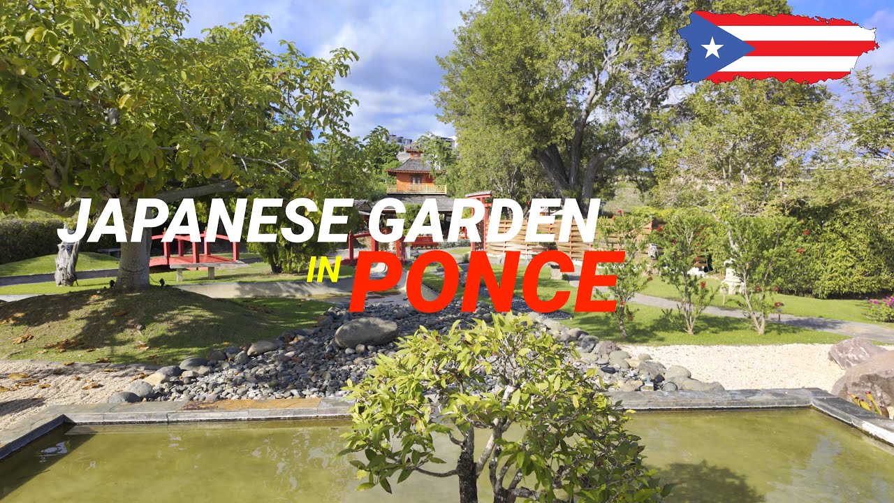 Experience the Serenity of the Japanese Garden in Puerto Rico