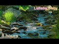 ✰ 8 HOURS ✰ Peaceful CREEK Lullaby ♫ Relaxing Nature Music ♫ Water Sounds ♫ Baby Sleep Music ✰