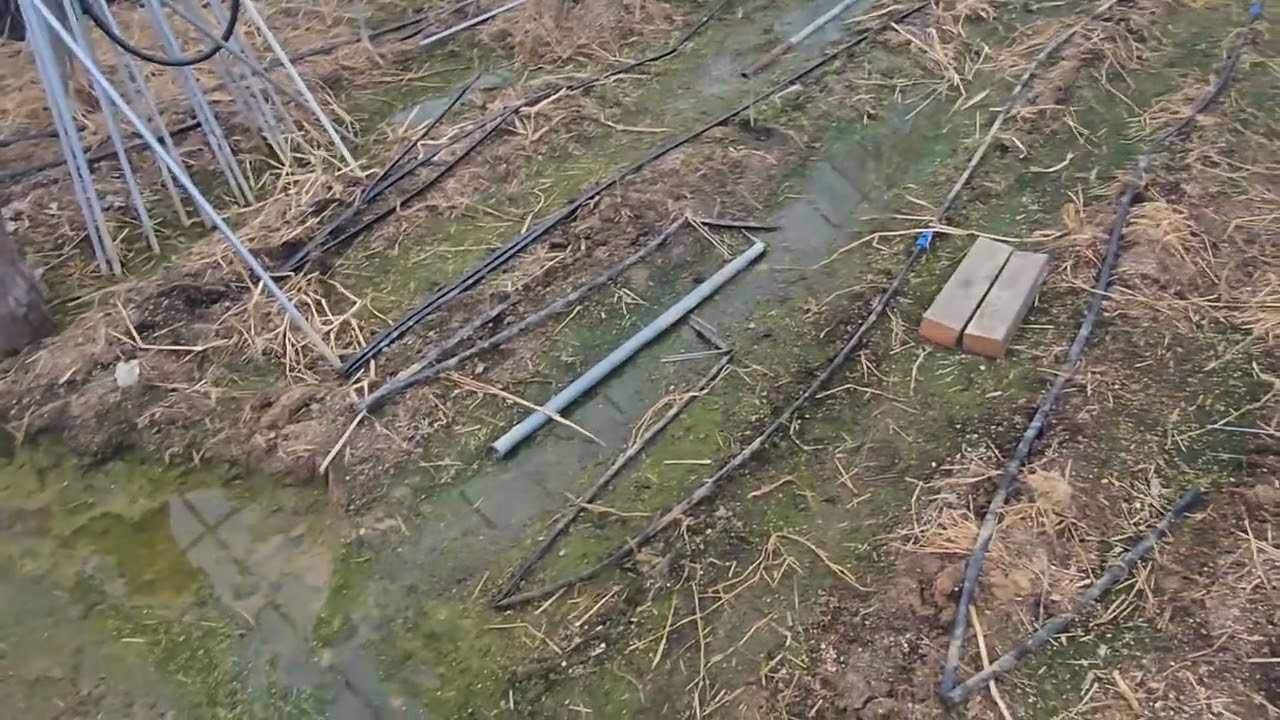 7 꼼지락 농원 순간 일기 Kkomjirak Farm Moment Diary