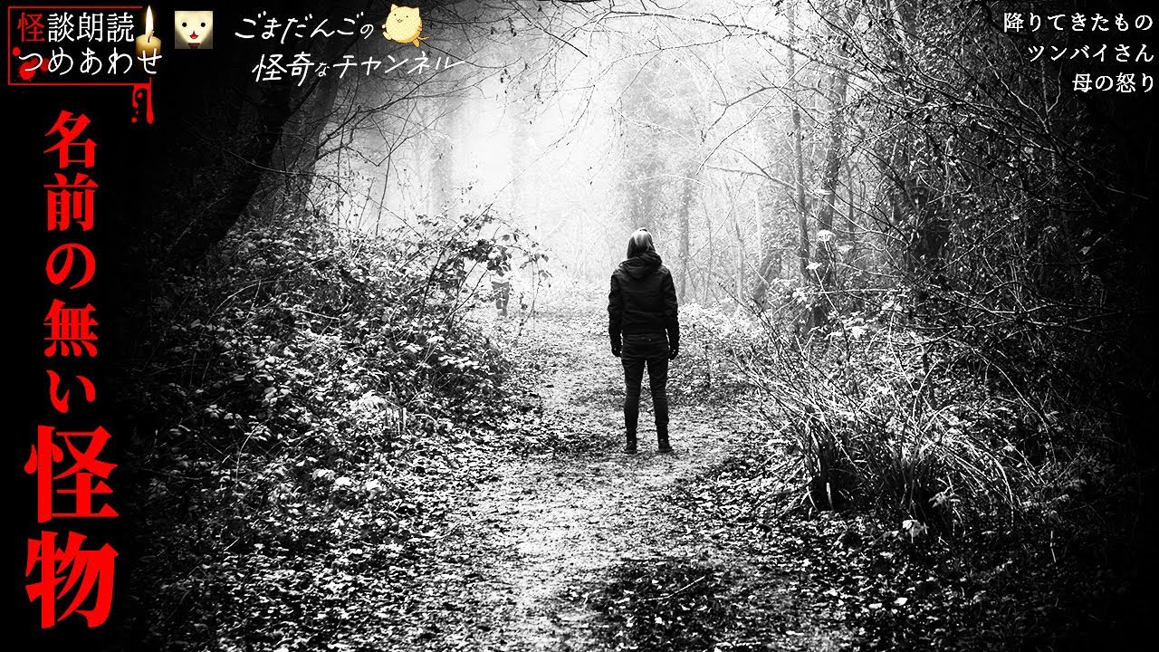 【怖い話】「名前のない怪物」「ツンバイさん」「母の怒り」「降りてきたもの」【怪談/朗読つめあわせ】