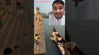 pets enjoying the river during the boat.#reviewshorts #trendingshorts #shorts