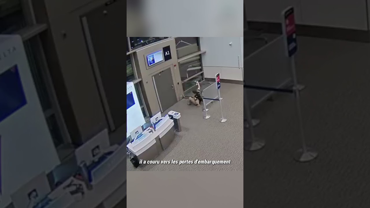 Les derniers instants d’un passager perturbé aspiré par le moteur d’un avion