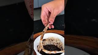 After this trick, you will never use honey the same way again!