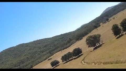 FrSky S6R on a Z-84, Wing Wing, Auto Leveling Mode Demo