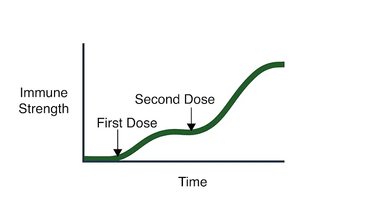 How do vaccines help my immune system to protect m...