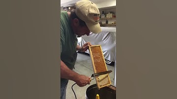 Using a heat knife to uncap wax on honey comb frame