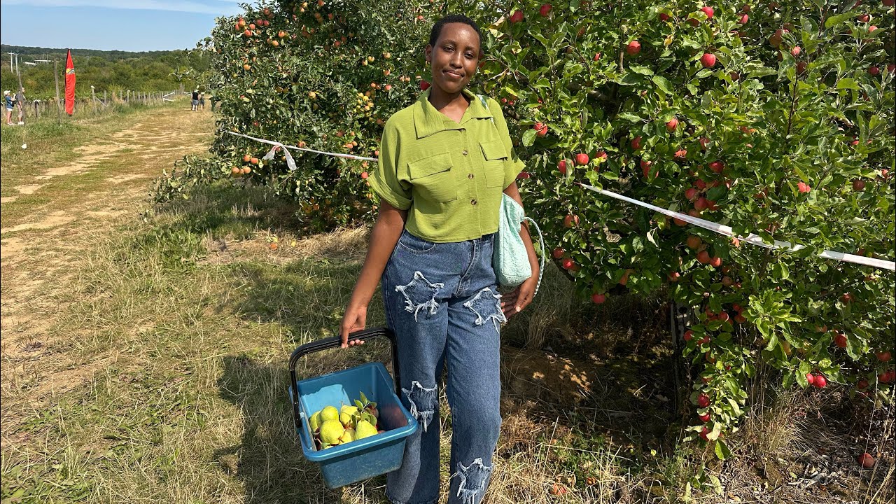 Harvest with me ( Muze tujyane gusarura Imbuto n’ Imboga mu murima 🇫🇷 Metz Peltre🍐🍏🍎🍒🥬🫑🥦🍆🥕🫜🌺