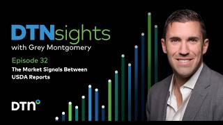 The Market Signals Between USDA Reports DTNsights Podcast - Episode 32