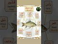 اجزاء السمكة باللغة الانجليزية انجليزي انجليزي للمبتدئين انجليزي مبسط انجليزي للجميع انكليزي
