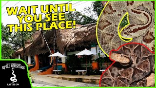 ULTIMATE REPTILE PARK IN MEXICO! Wait until you see this place!