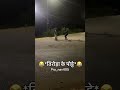 Kament Kro Kesi Lagi Video 