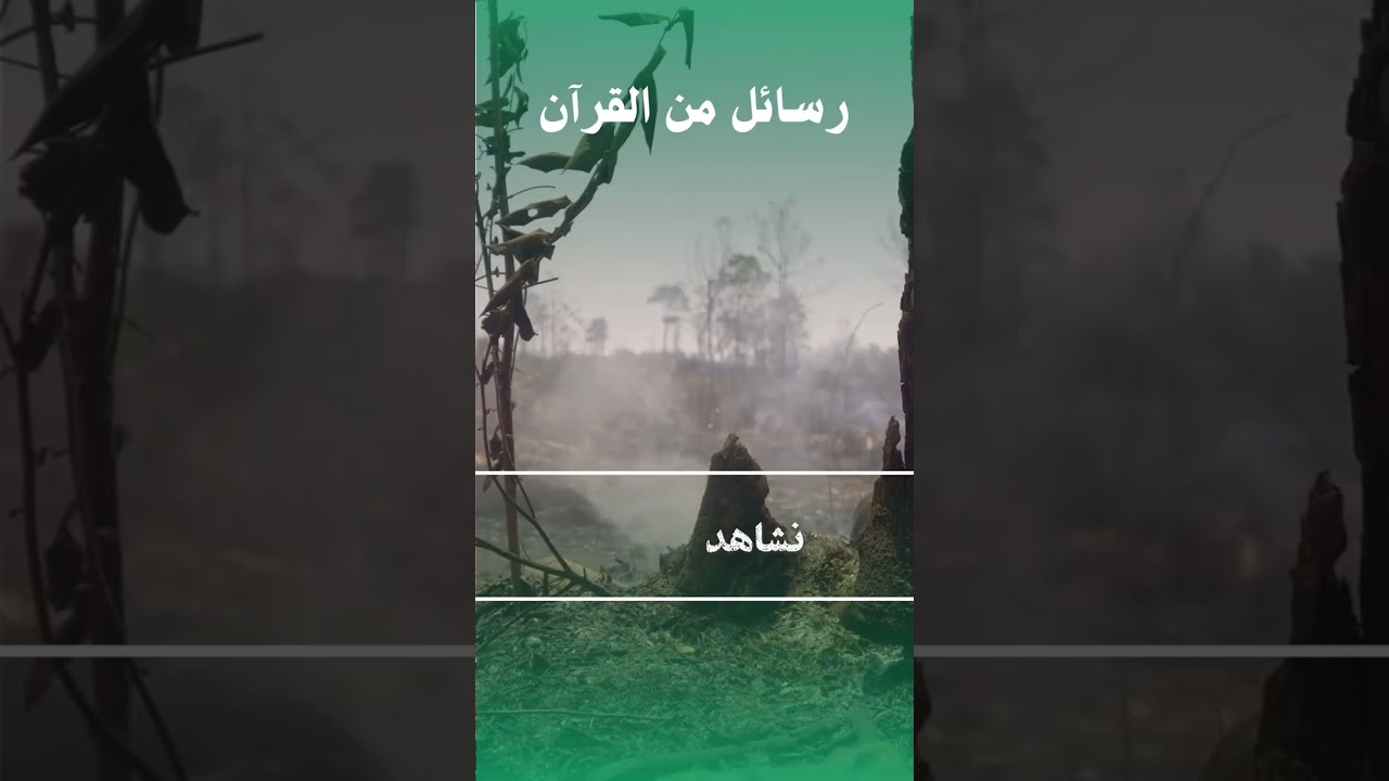 نعم عظيمة نغفل عنها يوميًا | رسائل من القرآن | اقتباسات صوتية | منطوق للكتب الصوتية