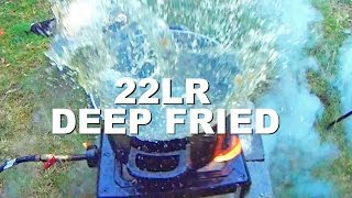 deep frying live 22lr bullets guns and food will it deep fry