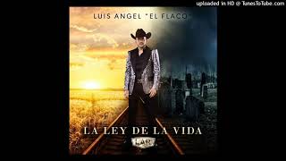 El Que Te Amó - Luis Angel "El Flaco"