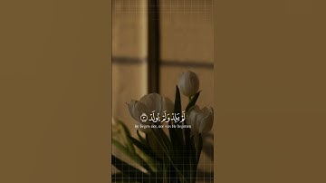 سورة الإخلاص 🌸