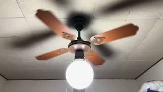 SMC Laguna Ceiling Fan
