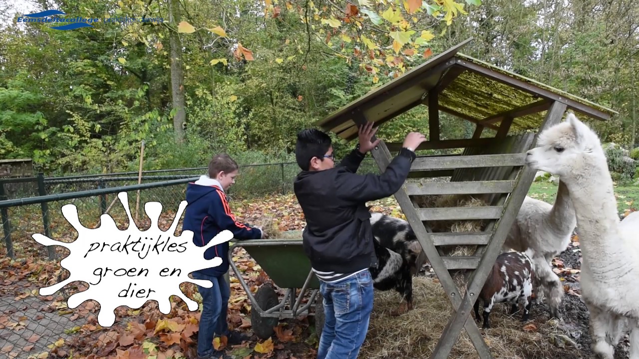 Een dag Praktijkonderwijs Eemsdeltacollege