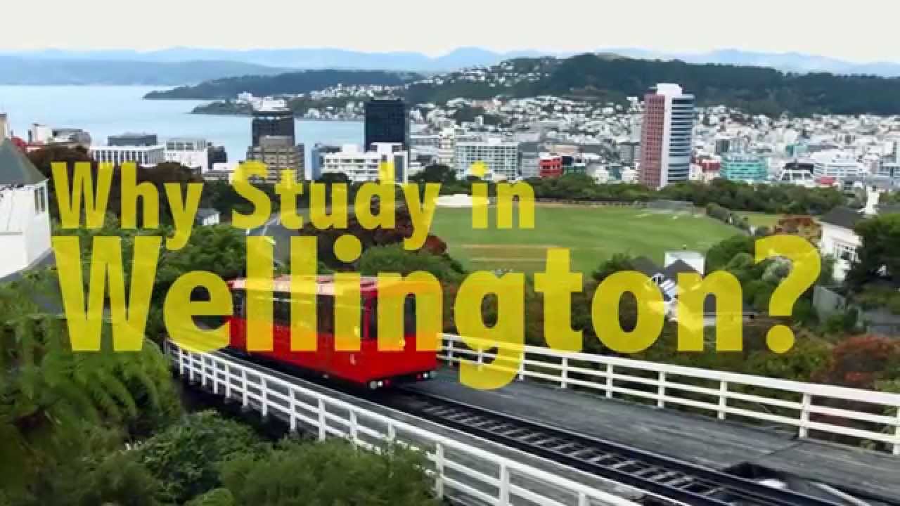 Why Wellington Video SUBTITLES - YouTube