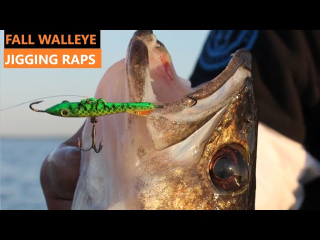 How to Catch Walleye Using Jigging Raps 