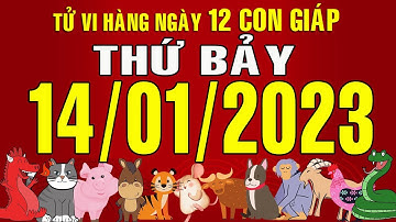 Tử vi Phương Đông hàng ngày, Thứ Bảy (14-01-2023) của 12 con giáp, chi tiết, chuẩn xác & đầy đủ