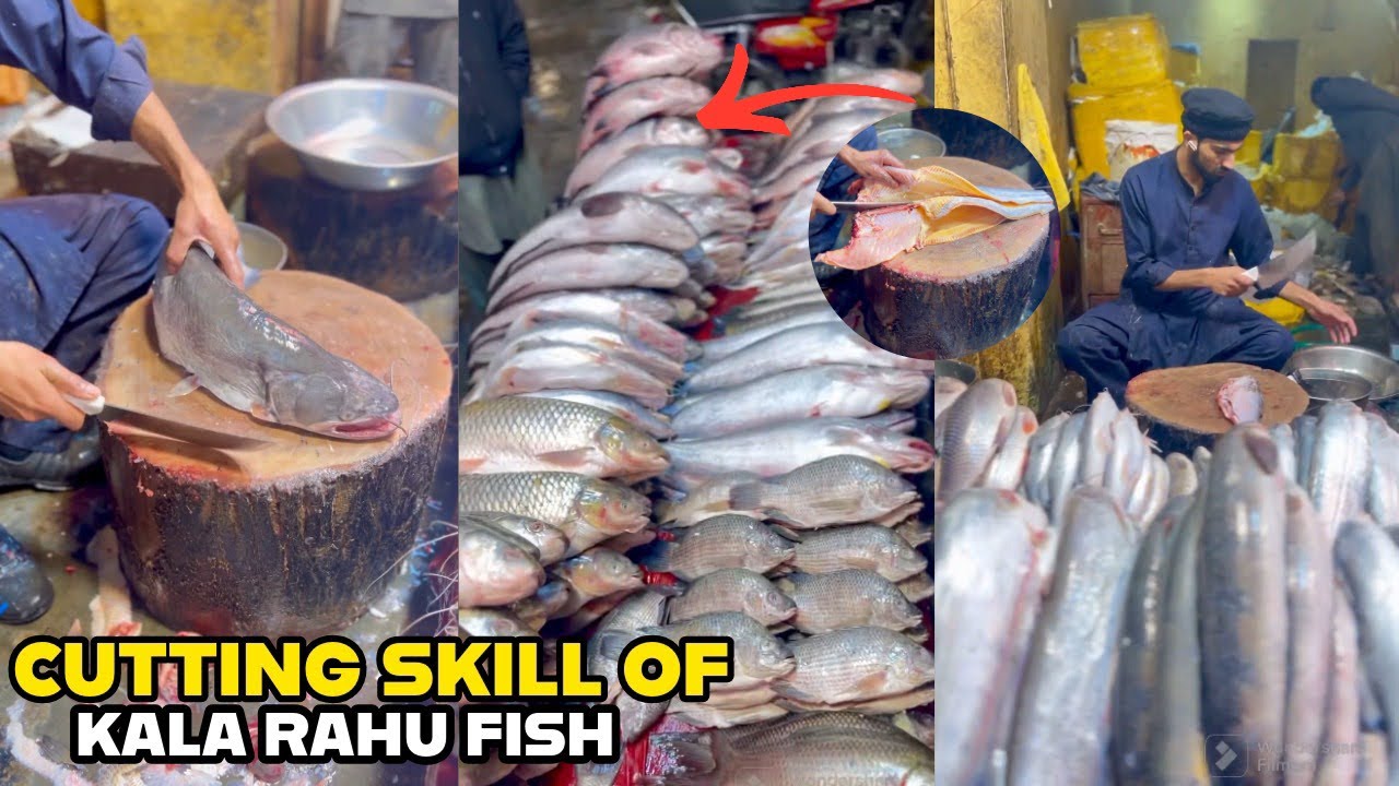 Amazing Fish Cutting Skills | 魚切り | Cutting Skill Of Kala Rahu Fish 😍 Pakistani Seafood Collection!