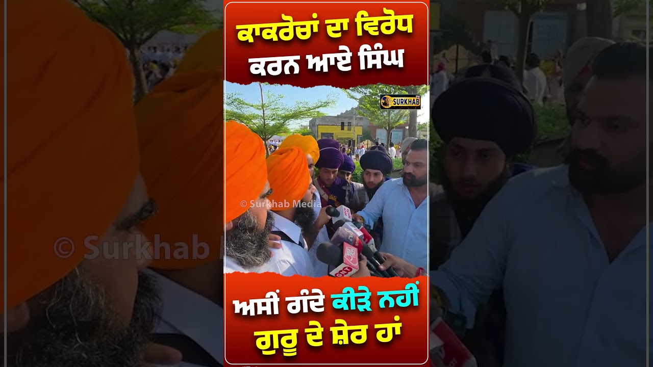 ⁣Amritsar ਵਿਖੇ Cockroach Party ਨੂੰ ਜਵਾਬ ਦੇਣ ਪਹੁੰਚੇ ਗੁਰੂ ਦੇ Singh | ਅਸੀਂ ਗੰਦਗੀ ਵਾਲੇ ਕੀੜੇ ਨਹੀਂ ਸ਼ੇਰ ਹਾਂ