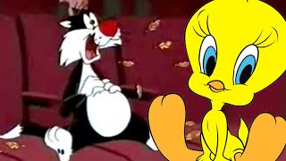 Sylvester eats Tweety Bird? 👹