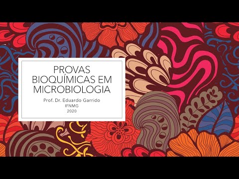 Provas Bioquímicas em Microbiologia