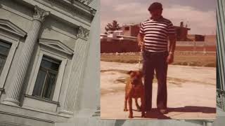 Historical Pictures Of The Apbt Part 2 By Schoolbaby