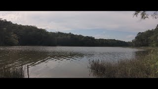 River Footage