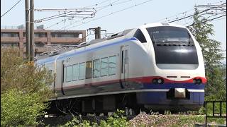 特急しらゆき1号新潟行き【4K】E653系H201編成信越本線下り51M