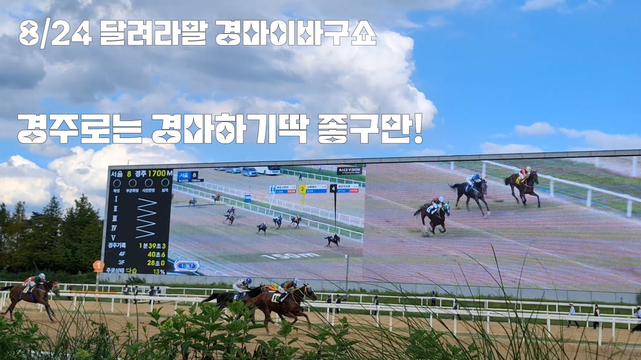 그런데 내가사면 왜 안들이대는겨!(일요경마 후기/삼일경마 수고들하셨읍니다)