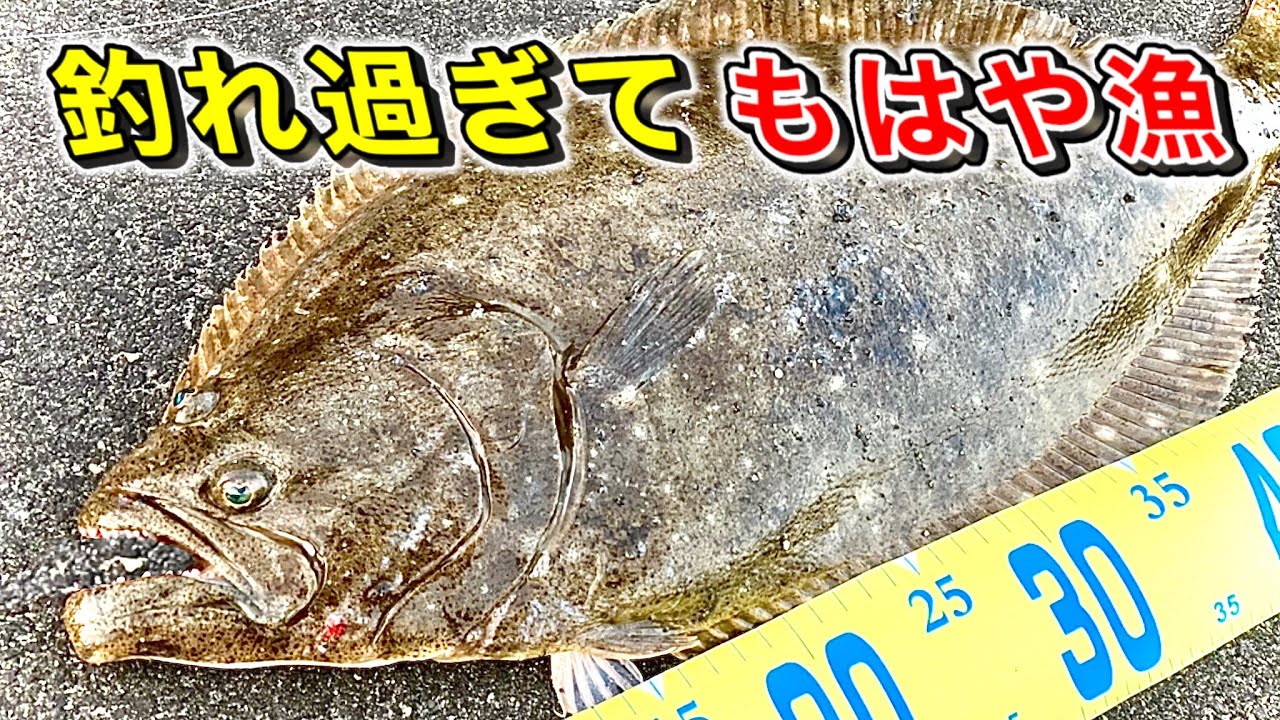 漁師が使うルアーで釣りしたら衝撃的な連発だった【初心者でも釣れる】ボウズ逃れにお使い下さい