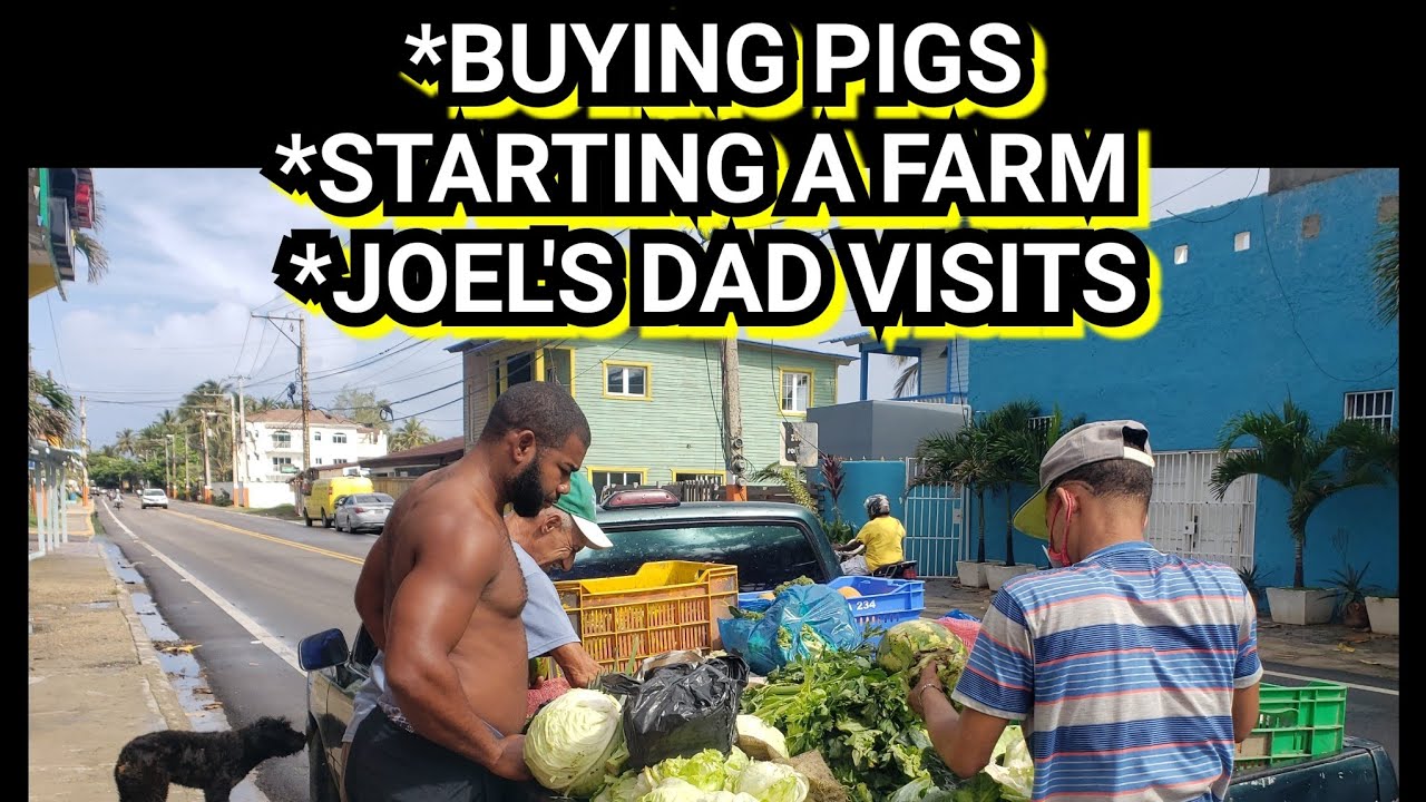 BUYING PIGS IN THE DOMINICAN REPUBLIC PLANNING OUR PIG FARM