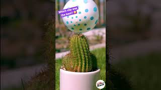 Which is best slow motion video 14  #golf #magneticballs #experiment #magnet #balloon #magnettoys