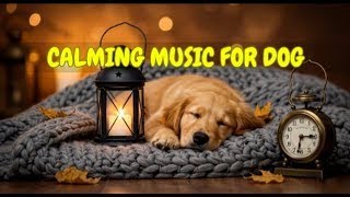 12 HOURS of Calming Sounds for Dogs Left Home Alone 🐾🎶 | Sleep Support for Anxious Pets