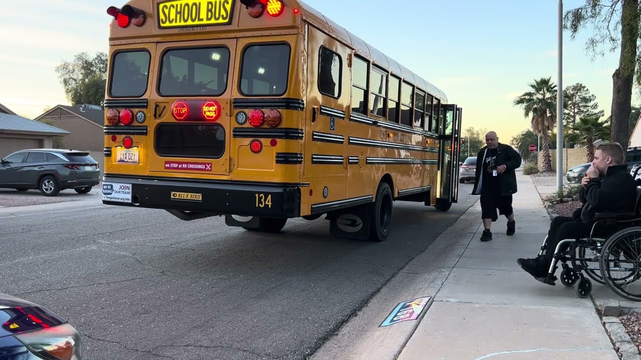 Hello Sagan bus good morning 