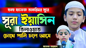 ছোট্ট ক্বারীর বিস্ময়কর কন্ঠে সূরা ইয়াসিন سورة يس Surah Yaseen Yasin হাফেজ সালেহ আহমদ তাকরিমের সুরে