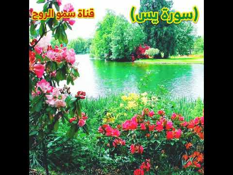سورة يس من ترتيلات قناة سمو الروح 