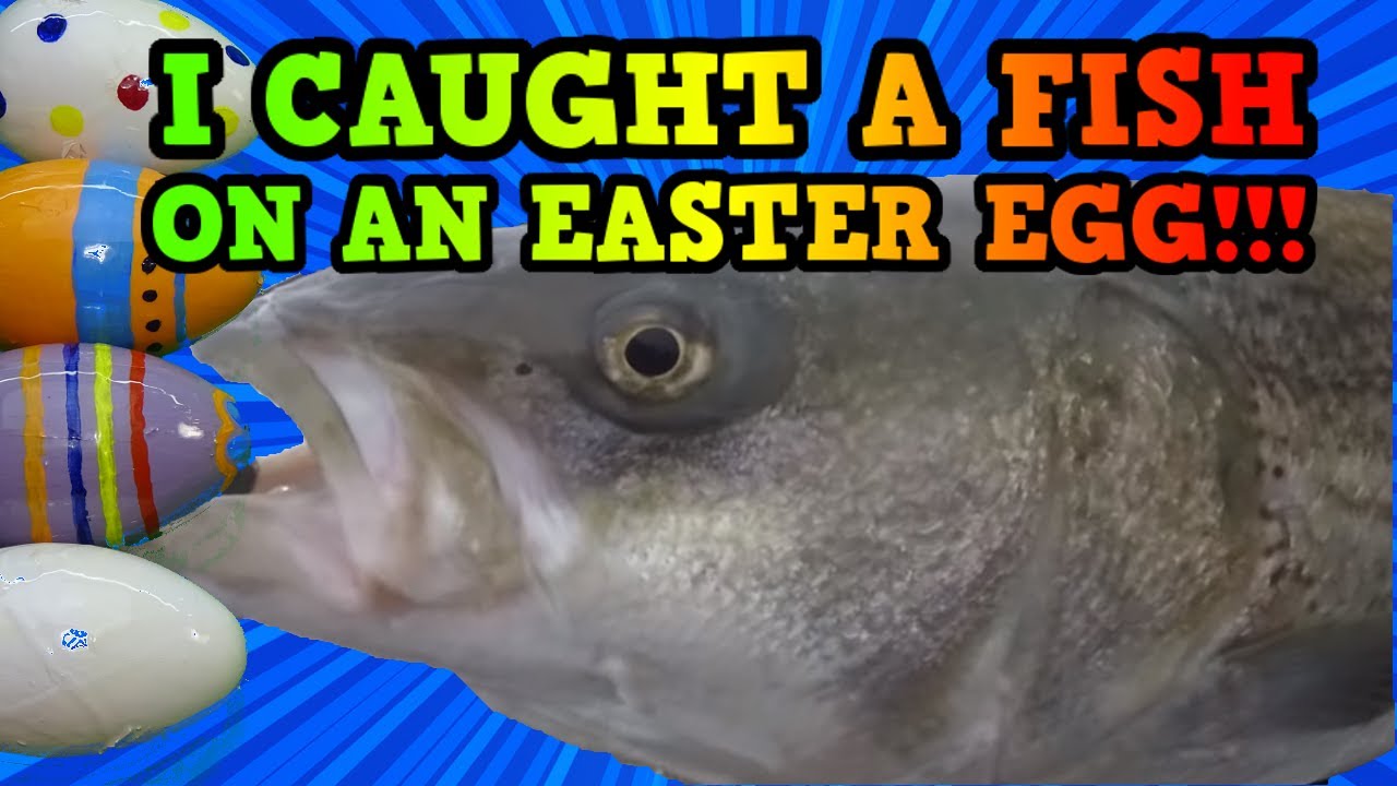 🥚 🎣 Using Painted Easter Eggs to catch fishThis striped bass